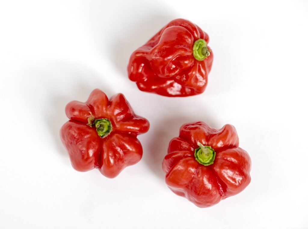 FRESH PEPPER – RED